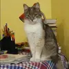 Отзыв от Анастасия Филимонова